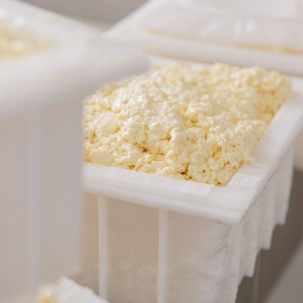 Elaboración de Queso Artesanal