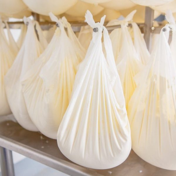 Elaboración de Quesos